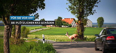 ländliche Straße über die ein Reh kurz vor einem Auto läuft